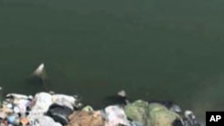 쓰레기가 쌓여있는 이집트의 나일강변