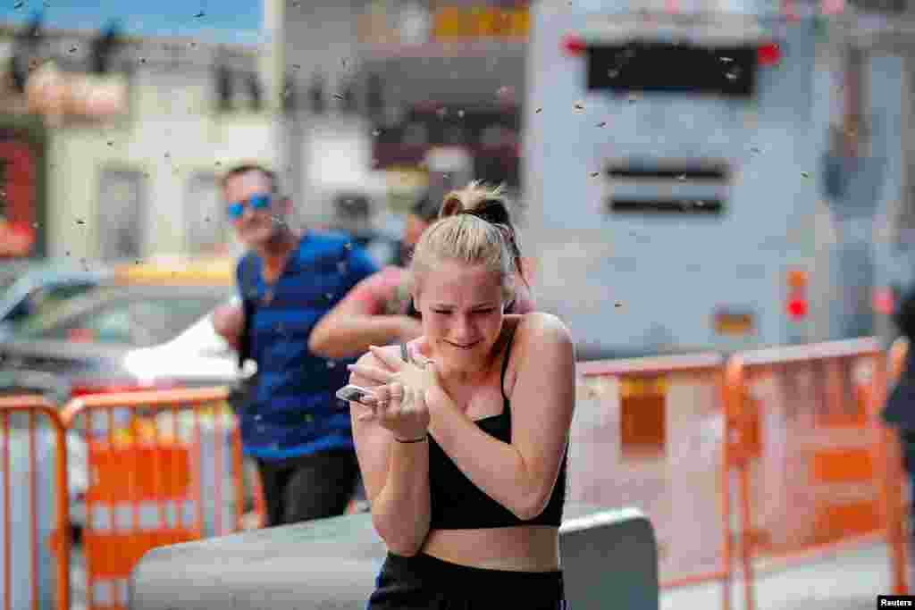 People react to a swarm of bees in Times Square in New York City, Aug. 28, 2018.