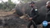 Nigeria Targets Illegal Oil Refining, Soot Pollution