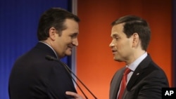 美国共和党参议员克鲁兹和鲁比奥在共和党初选辩论后交谈（2016年1月28日）。他们名列要求川普当局制定全面战略来对抗中共影响力的信函联署人