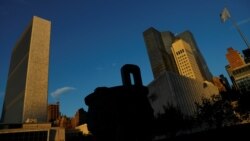 በተባበሩት መንግሥታት ድርጅት ጠቅላላ ጉባዔ የኢትዮጵያ እና የኤርትራ ተወካዮች