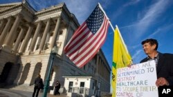 9月25日一名茶党成员在国会上抗议