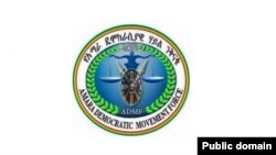 የአማራ ዴሞክራሲያዊ ኃይል ንቅናቄ (አዴኃን)