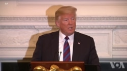 特朗普缺席麦凯恩追悼会