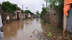 Lolaan Adaamaa nama kuma 4,500 baqachiise