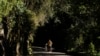 FILE - A man walks with his bicycle through the Tijuca Forest in Rio de Janeiro, Brazil, July 29, 2012.