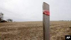 미국 네브라스카주 틸덴의 한 들판에 키스턴 XL 송유관이 지하로 연결될 위치가 말뚝으로 표시돼 있다.
