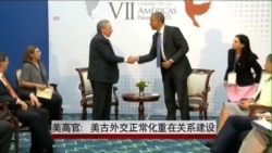 美高官：美古外交正常化重在关系建设