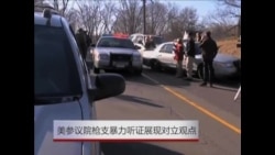 美参议院枪支暴力听证展现对立观点