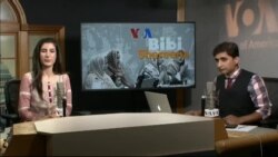 بي بي شیرینه – وي او اې ډيوه په ټیلې ویژن