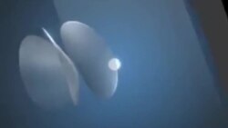 ብሩህ ወጣት- ብሩክ ዘውዱ