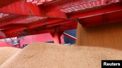 2018年4月4日江苏南通港装卸进口大豆场景（路透社）