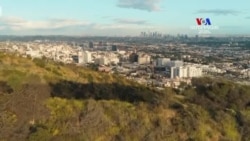 Նազարյանը՝ Թրամփի «Shut Down»-ի հետևանքերի մասին