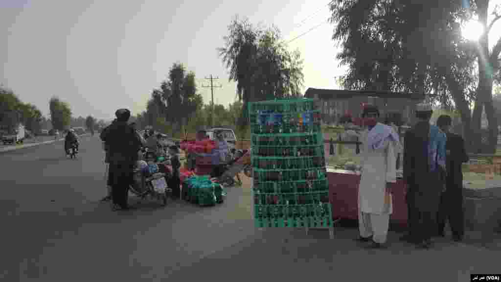 عینک فروشی سیار در شهر لشکرگاه&nbsp;