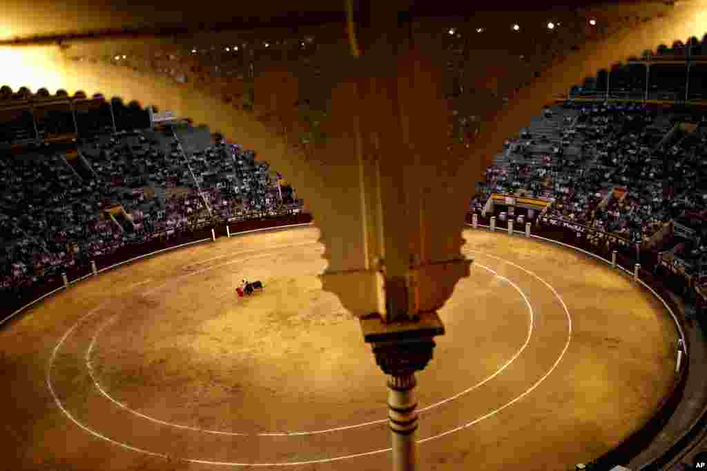 Matador Roman Collado beraksi dalam sebuah pertunjukan di Las Ventas, Madrid, Spanyol.