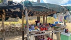 Ukhala Ngokugugudeka Kwesisindo Sedola leZimbabwe