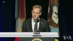 介绍美国新任国防部长沙纳汉