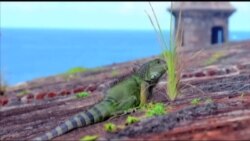 美国万花筒:国家公园之旅--海岛风情