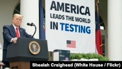 在白宫玫瑰园，美国总统特朗普听取了一名记者的提问（2020年5月11日）。