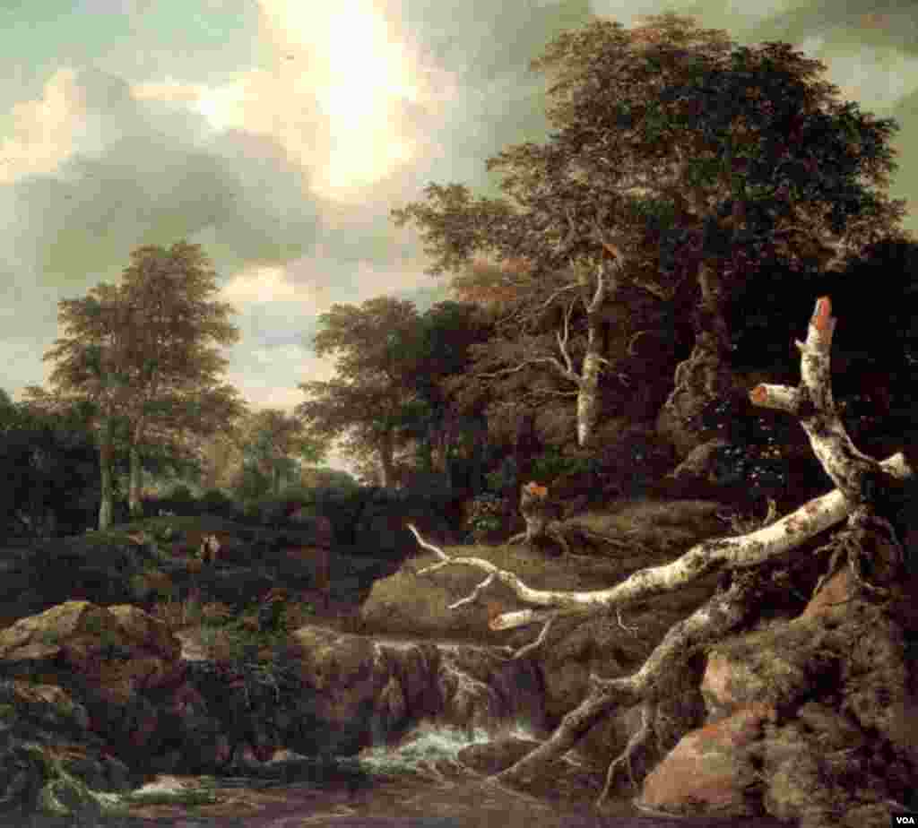 Jacob van Ruisdael, Meşə Görüntüsü, 1600-05