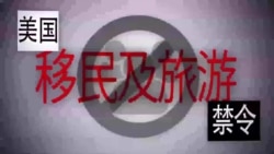 走进美国：一分钟图解美国的移民及旅行禁令