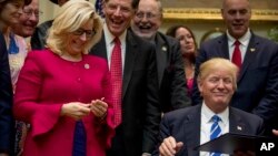 «لیز چینی» از جمله سرشناس ترین چهره‌های این گروه از اعضای مجلس نمایندگان است که از پرزیدنت ترامپ خواستند معافیت‌ همکاری‌های هسته‌ای با ایران را لغو کند. 