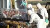 Rawat Pasien di Madrid, Perawat Spanyol Tertular Ebola