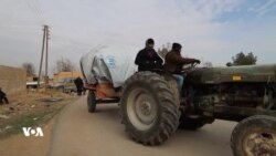 Kêmanîyên Olî û Mezhebî li Sûrîyê ji Siberojên Xwe Xembar In