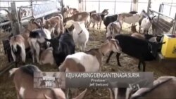 Kiat Usaha Kecil dan Koperasi di Amerika (2) - Warung VOA