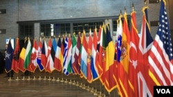 2019年4月3日北约互动论坛上的北约成员国国旗（美国之音黎堡）