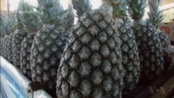 The Healing Properties of Pineapples