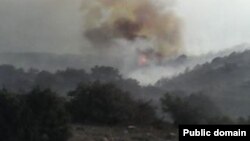 پارک ملی گلستان، قدیمی ترین پارک ملی ایران بارها دچار آتش سوزی شده است 