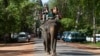 FILE - In this May 30, 2009, file photo, tourists ride on elephants at Bayon front gate of Cambodia's Angkor complex in Siem Reap province, north of Phnom Penh, Cambodia. 