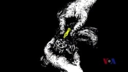 火墙内外：高瑜身陷囹圄凸显中共排斥异己无底线