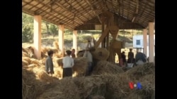 朝鲜农业刺激计划：多劳多得