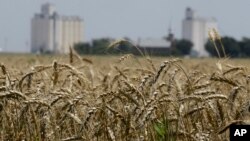 Arhiva, ilustracija.