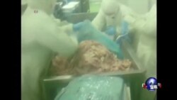 时事看台：上海福喜过期肉问题持续延烧
