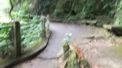 آبشار پارک تیجوکا در برزیل