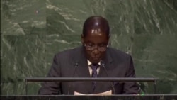 Zimbabwe President Calls on Bretton Woods To Reform, Champions Land Reform