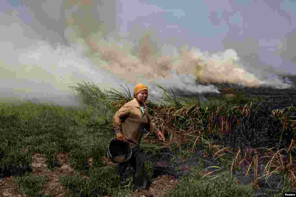 ពលរដ្ឋ​​ម្នាក់​⁠ព្យាយាម​ពន្លត់​ភ្លើង​ឆេះ​ព្រៃ​&nbsp;នៅ​កោះ​ស៊ូម៉ាត្រា​ខាង​ត្បូង&nbsp;ប្រទេស​ឥណ្ឌូនេស៊ី។