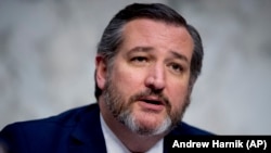 来自德克萨斯州的共和党籍联邦参议员泰德·克鲁兹