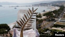  نخل طلائي،‌ جایزه جشنواره کن