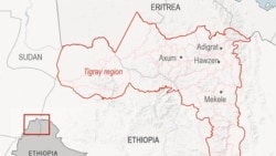 Ministaroonni Biyyoota G- 7 Loltoonni Ertiraa Hatattamaan Tigiraay Keessaa Akka Bahan Gaafatan