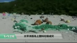VOA连线: 太平洋孤岛上塑料垃圾成灾