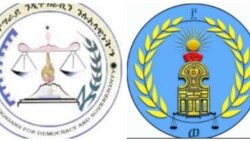 መግለጺ ዓረናን ሳልሳይ ወያነን ኣብ እዋናዊ ኩነታት ክልል ትግራይ