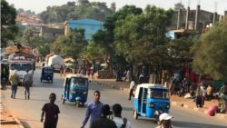 Wallagga Lixaa fi Matakkal Keessatti Filannoon Akka Milkaa’uuf Qophaawaa Jirra, Jedhan Aaangawoonni