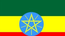 Mootummaan Itiyophiyaa Seera Barreessitoota Interneetii Irraatti Yaaddoo Uume Wixinatee Jira