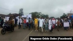 Faayilii - Mormii aanaa Gooroo Doolaa tti guyyaa harraa gaggeeffame