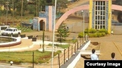 Faayilii - Yunvarsiitii Wallagaa, Naqqamtee