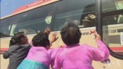 朝韩家庭团聚 双方挥泪告别